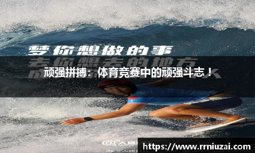 k体育